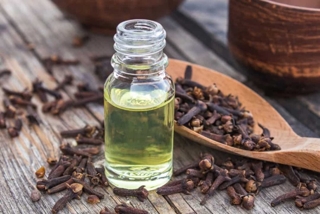 clove oil