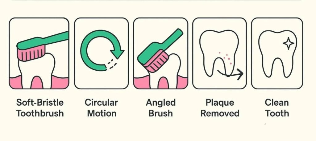 Proper Brushing Steps